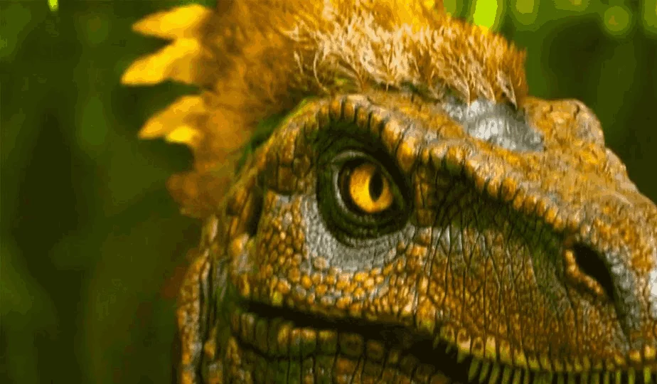 The Island на Unreal Engine 5